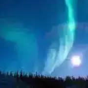 Mの画像