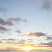 Angelinaの画像