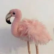 フラミンゴ