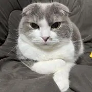 うーくんの画像