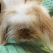 郁三さん