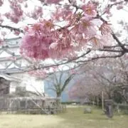 Ri☆(プロフ必読!!)