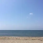 naoの画像