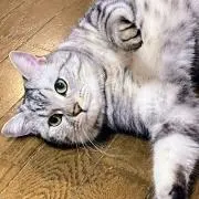 あ〜こ
