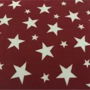 ⭐︎