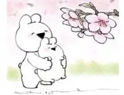 ゆき
