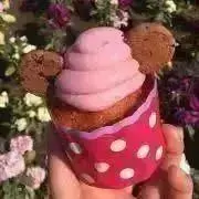 teaの画像