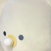 cの画像