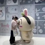 ぽんじゅの画像