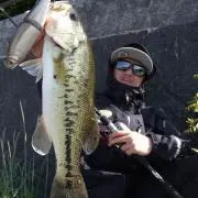 DRT X WCZ Tyrant 8 Lake Shad - メルカリ