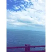 aiの画像
