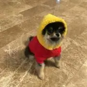 SaNaの画像