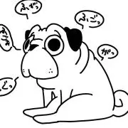 パグのお店屋さんの画像