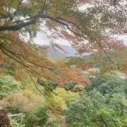 きぃの画像