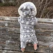 カーリーの画像