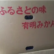 どんぐり