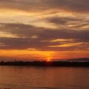 SUNの画像