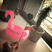 まるまるの画像