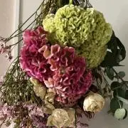 rocomocoの画像