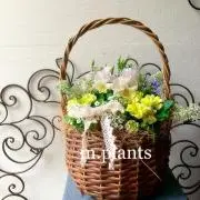 m.plantsの画像