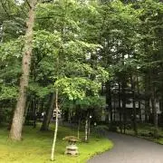 つばさ