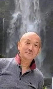 たけの画像