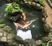 みゆみの画像