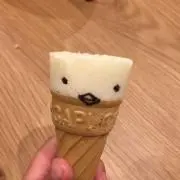 ぴょんぴょんの画像
