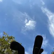 さとゆず