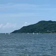 たかふみ