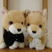 そたころの画像