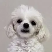 ろうお値下げ〇の画像