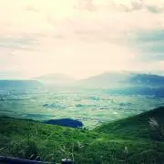 みーこの画像