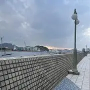 ぽん/の画像