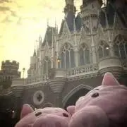 ハム　翌日発送　プロフ見てね♪の画像