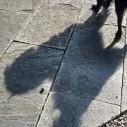 茶々楕円☀プロフ必読の画像