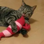 くるるんの画像