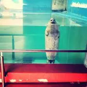 みなみの画像