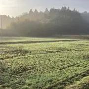 あきの画像