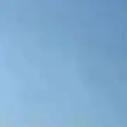 みみみの画像