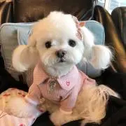 キロの画像