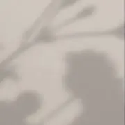 ayakaの画像