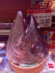 Ra Kimhengの画像