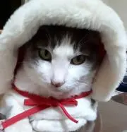 タラ丸