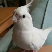 まさの画像
