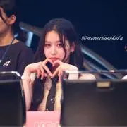 ズッキーニの画像