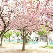 ちょこめい☆らんど