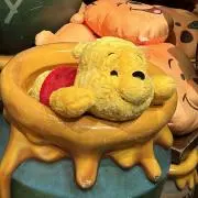 ナナの画像