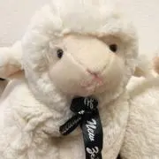 Riの画像