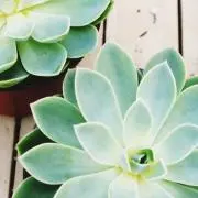 なの画像